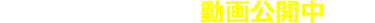 \ 日々の業務 動画公開中 /